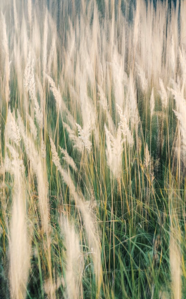 Skin Needs to Adapt, Not Just React - Atmosphera