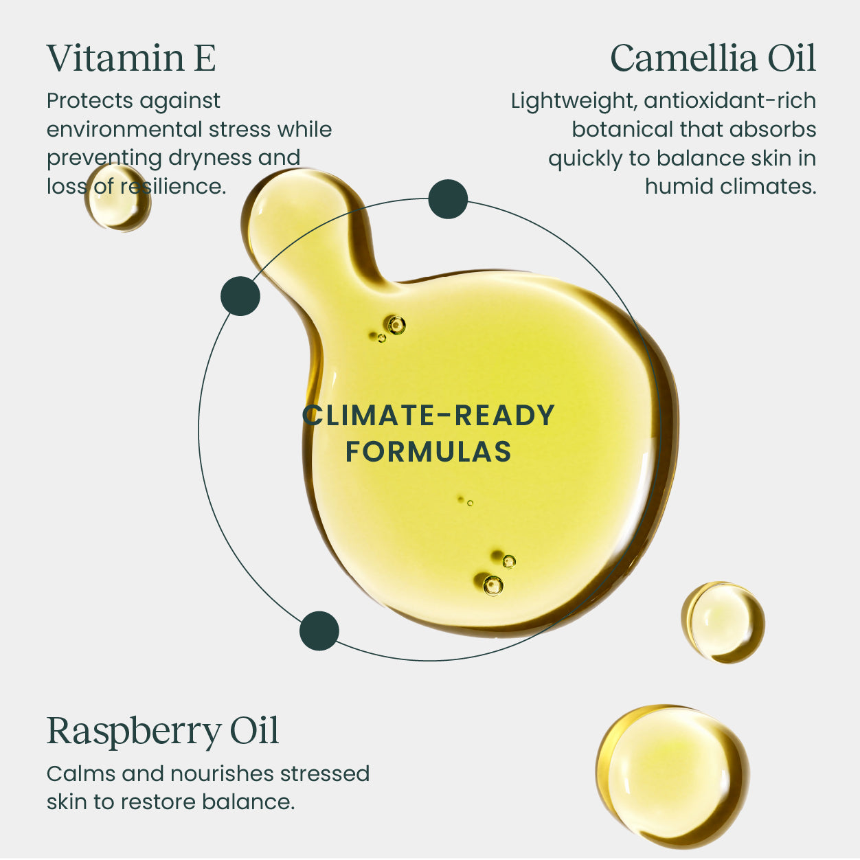 REPLENISH™ - Warm Climate Facial Oil