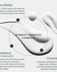 Boost - Cold Climate Moisturizer with Shea Butter + Vitamin E