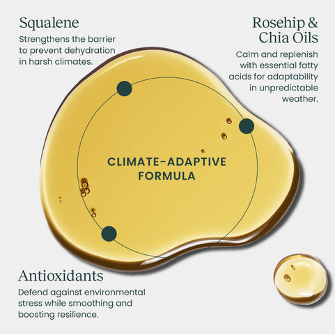 Glow - Cold Climate Recovery Oil with Squalane + Antioxidants