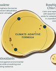 Glow - Cold Climate Recovery Oil with Squalane + Antioxidants